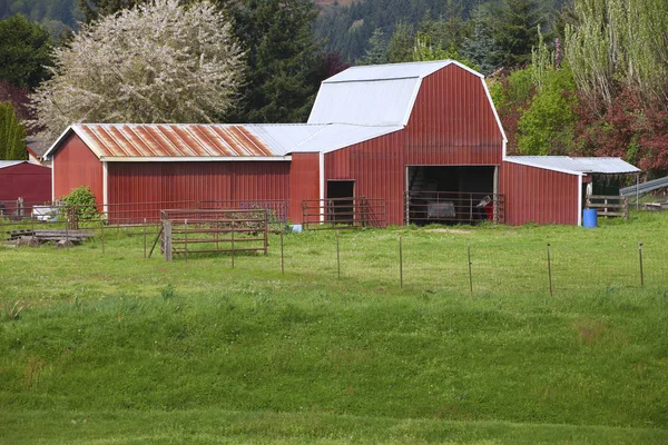 Country barn. — Stock Photo, Image