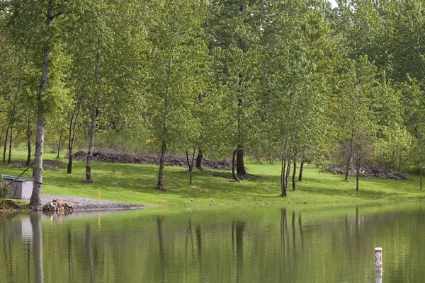 stock image Park and lake.