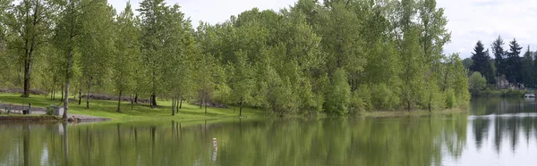 Park panorama, Woodland WA. — Stock Photo, Image