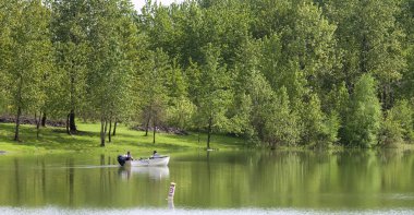 Balıkçılık Gölü, woodland wa.
