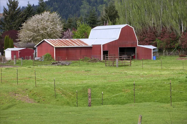 Country barn. — Stock Photo, Image
