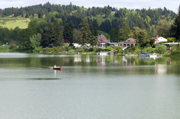 Vida frente al lago, Woodland WA . — Foto de Stock