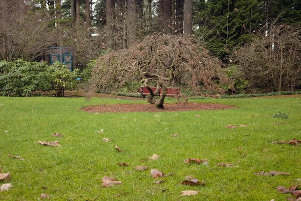 Los jardines de la Gruta Portland Oregon . — Foto de Stock