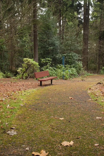 Una panchina, Portland Oregon . — Foto Stock