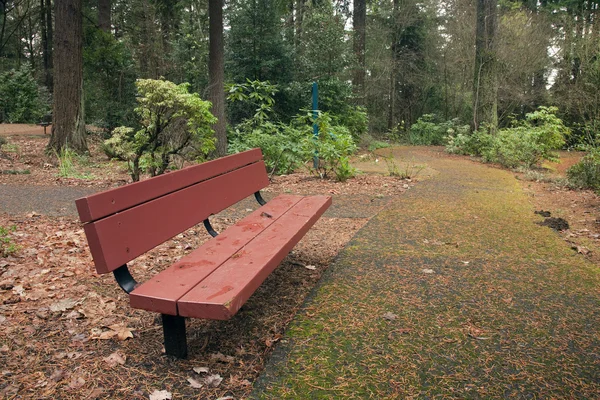 A bench, Portland OR. — Stock Photo, Image