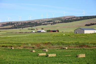 Rural farmland and wind turbines.