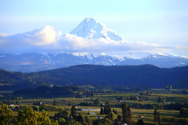 Mt. Hood and Hood River valley, Oregon. — Stock Photo, Image