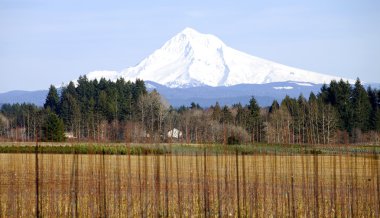 Kışın, oregon state MT hood.