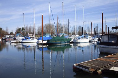 Sailboats moored in a marina, Portland OR. clipart