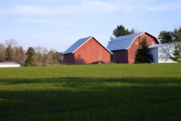 Barns and field, rural Oregon. — Stock Photo, Image
