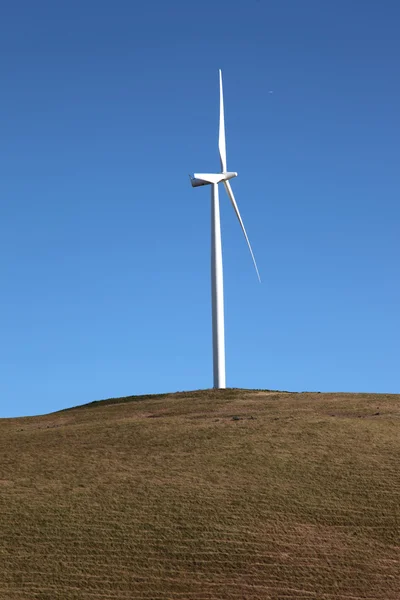 Energía eólica, turbina eólica en un campo Estado de Washington . — Foto de Stock