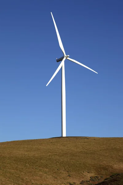 Wind energy, wind turbine in a field Washington state. — Stock Photo, Image