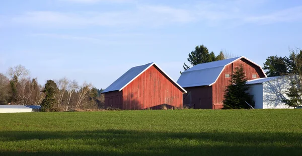 Barns and field, rural Oregon. — Stock Photo, Image