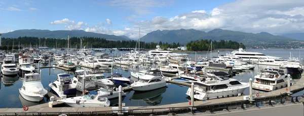 Luxury yachts in a marina near Stanley park, Vancouver BC. — Stock Photo, Image