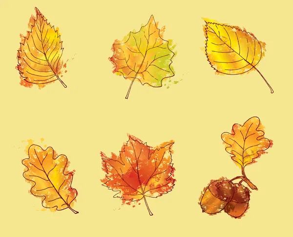 Podzimní listy nastaveny — Stockový vektor