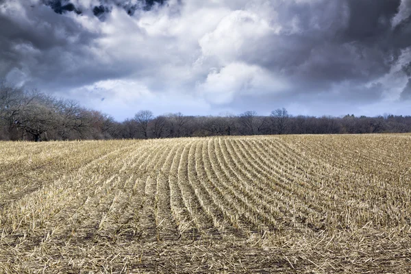 Fältet med stormig himmel och fog i skymningen — Stockfoto