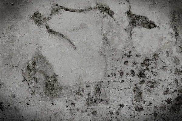 Sisustus - Vanha seinä — kuvapankkivalokuva