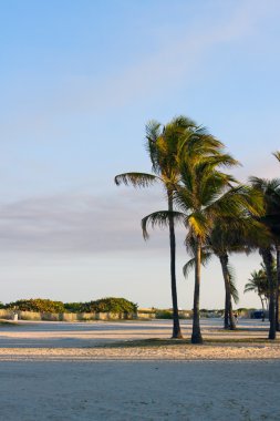 ocean drive Miami gün batımında