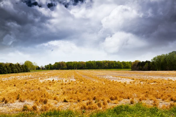 Amerikaanse landbouwgrond met stormy sky — Stockfoto