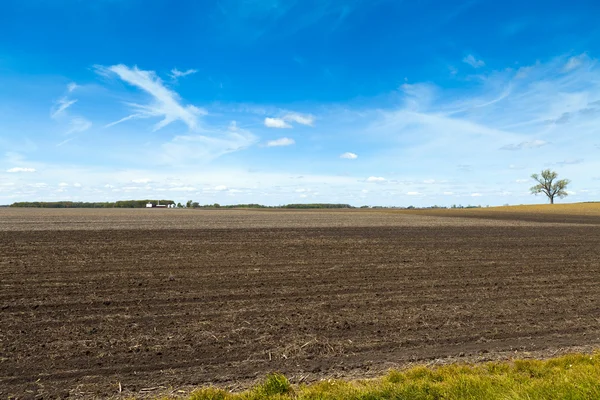 Landbouwgrond — Stockfoto