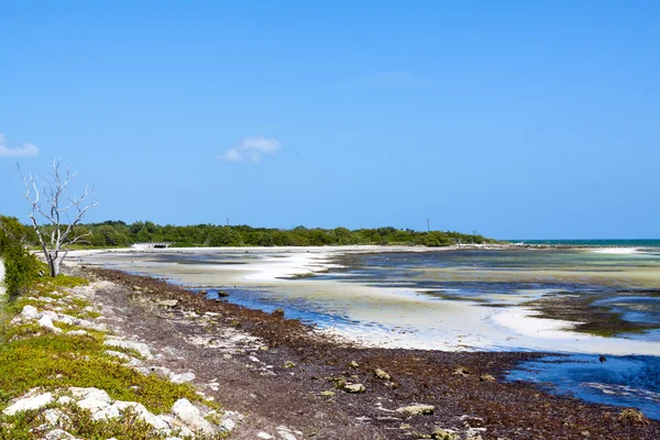 Plaża Bahia honda — Zdjęcie stockowe
