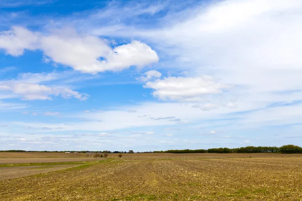 Country Landscape — Stock Photo, Image