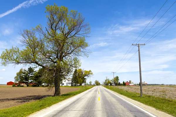 Country Road — Stock Photo, Image
