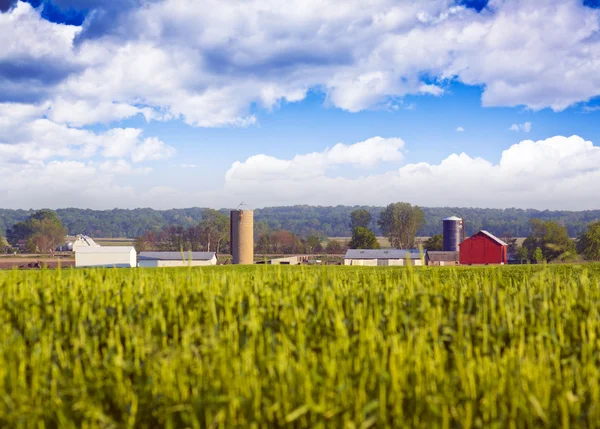 Campo desfocado com edifícios agrícolas em segundo plano — Fotografia de Stock