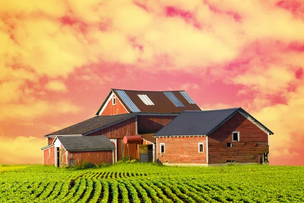 Красная ферма на закате — стоковое фото