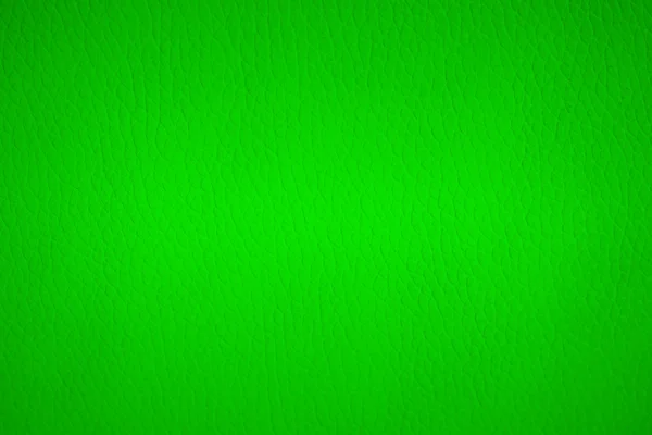 stock image Green Leather Texture