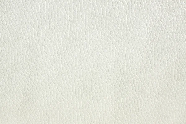 stock image White Leather Texture