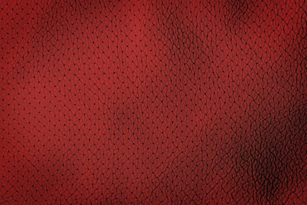 Interior Design - Red Leather — Stock Photo, Image