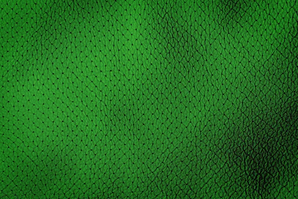 Interior Design - Green Leather — Stock Photo, Image