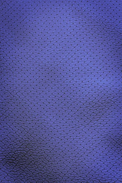 인테리어 디자인-블루 가죽 — 스톡 사진
