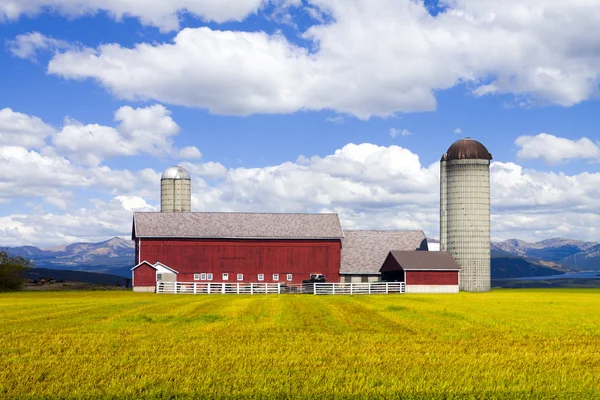Kırmızı çiftlik — Stok fotoğraf
