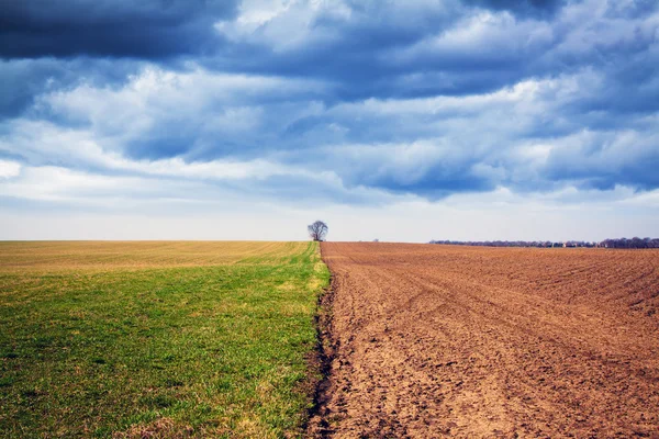 Jordbruksmark med stormig himmel — Stockfoto