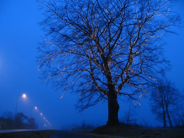 Beleuchteter Baum — Stockfoto
