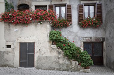 Entrance with geranium clipart