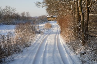 Winter in Denmark clipart