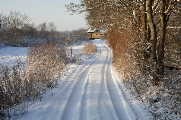 stock image Winter in Denmark