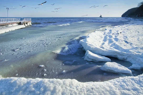 stock image Winter sea landscape