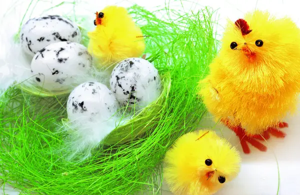 stock image Easter chickens