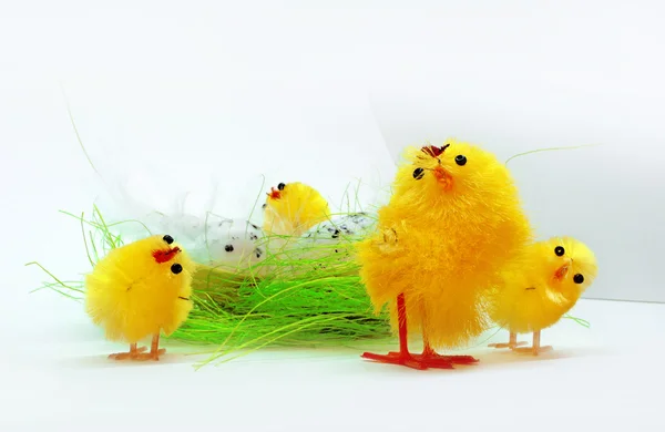 stock image Easter chickens