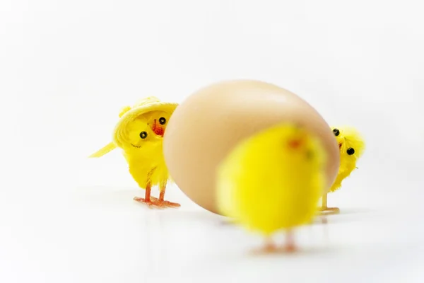 Osterhühner — Stockfoto