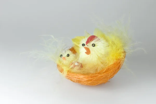 stock image Easter chickens