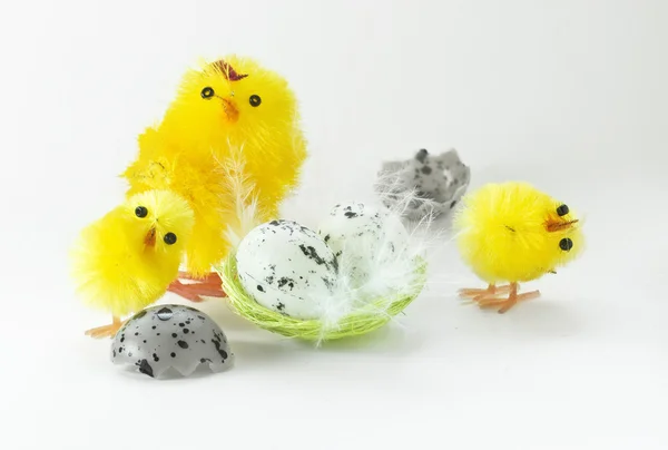 stock image Easter chickens