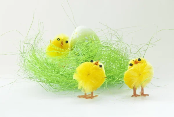 stock image Easter chickens