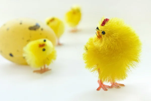Kurczaki wielkanocne — Zdjęcie stockowe