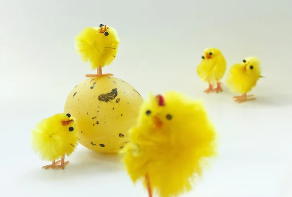 stock image Easter chickens