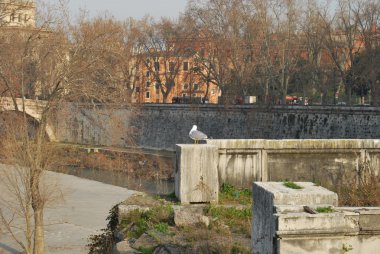 Roma - tiber Adası - İtalya 029